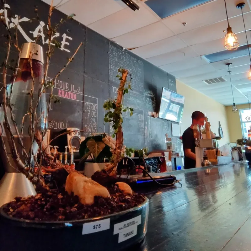 A bonsai in a ceramic pot on the bar top, with a lava lamp beside it and someone working at the taps behind.